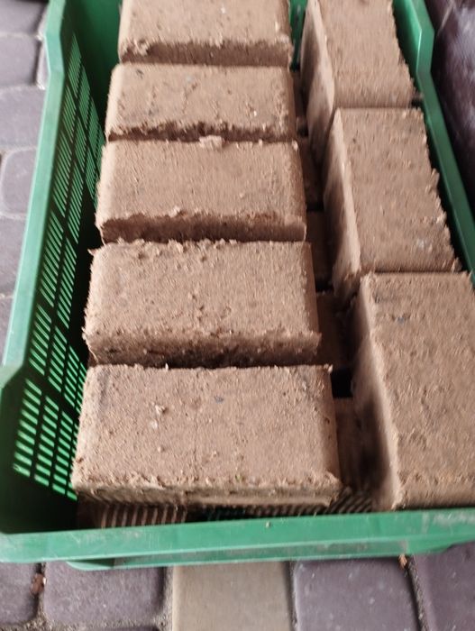 Brykieciarka, prasa do domowej produkcji brykietu