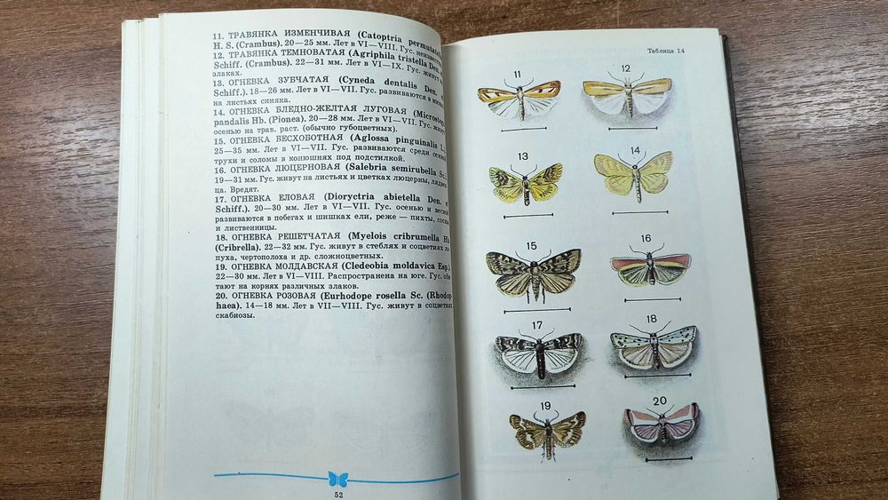 Школьный атлас-определитель бабочек (Корнелио)