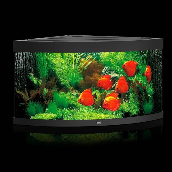NOWE Akwarium Juwel Trigon 350 LED, zestaw akwariowy