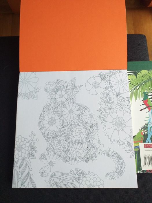 Kolorowanki dla dorosłych