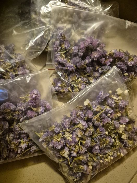 Susz kwiatowy zatrwian 2 opakowania