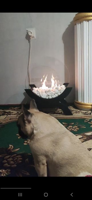 Підлоговий біокамін Senator для квартири без диму (темний венге)