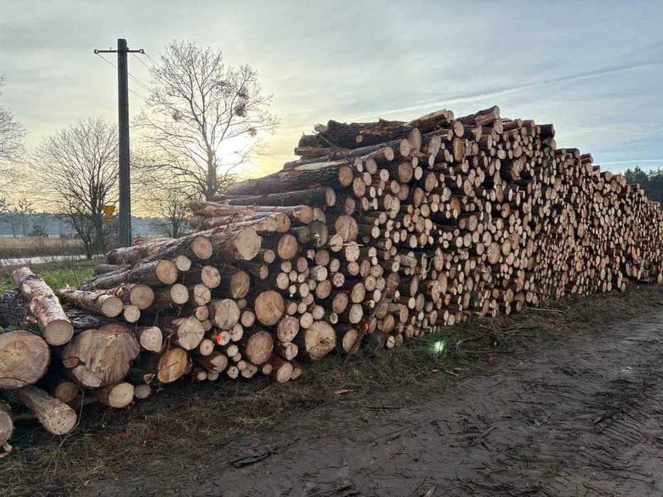 Sprzedam drewno, opał, sosna, świerk