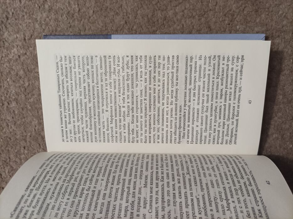 Приглашение на казнь. Владимир Набоков. роман