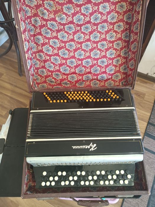 Guzikówka stan bardzo dobry brzmienie po strojeniu.