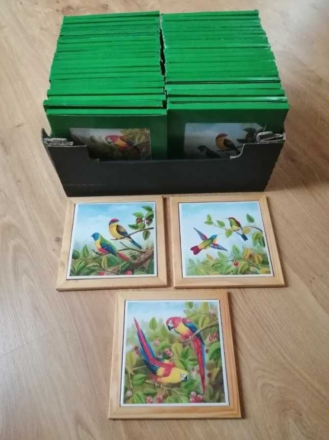 3 ozdobne płytki ścienne z motywem ptaków