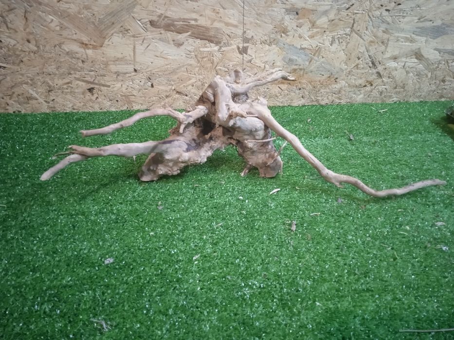 Korzeń do akwarium Red Moore Wood nr 558 o wymiarach 34/15/25