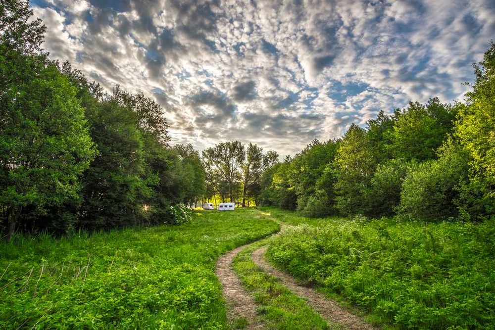 Duża działka nad jeziorem 0,99 ha (100m linii brzeg., war. zabud.)