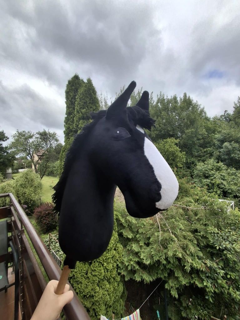Hobby Horse, Kary, konik na kiju, lekki, A4, do skoków.
