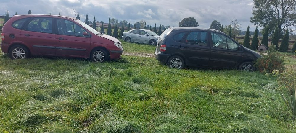 Renault Scenic uszkodzony