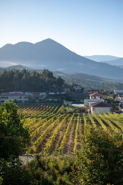 Natal / Passagem de Ano - Moradia T4