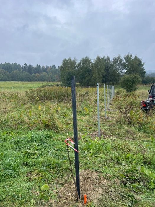 Usługi ogrodnicze BEE.GARDEN