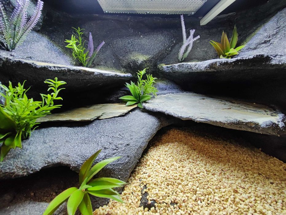 Terrarium 60x40x40 dla gekona jaszczurki