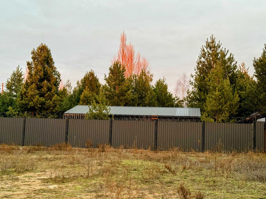 Будинок в закритому містечку. КМ Петрушки