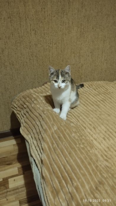 Детки ищут любящих родителей