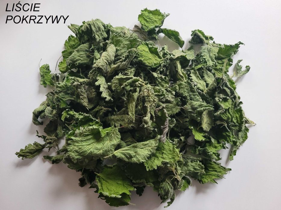 szyszki olcha czarna antyglon 100g (ok 500 szt.) liście do akwarium