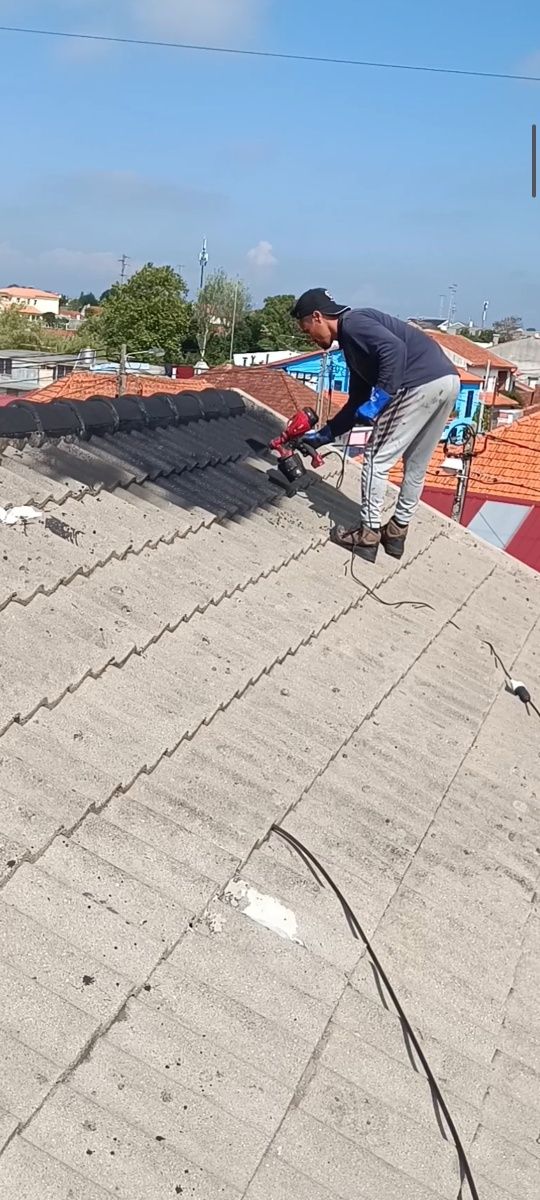 Limpeza e pintura de telhados