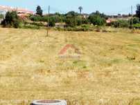 Terreno  Venda em Pontével,Cartaxo