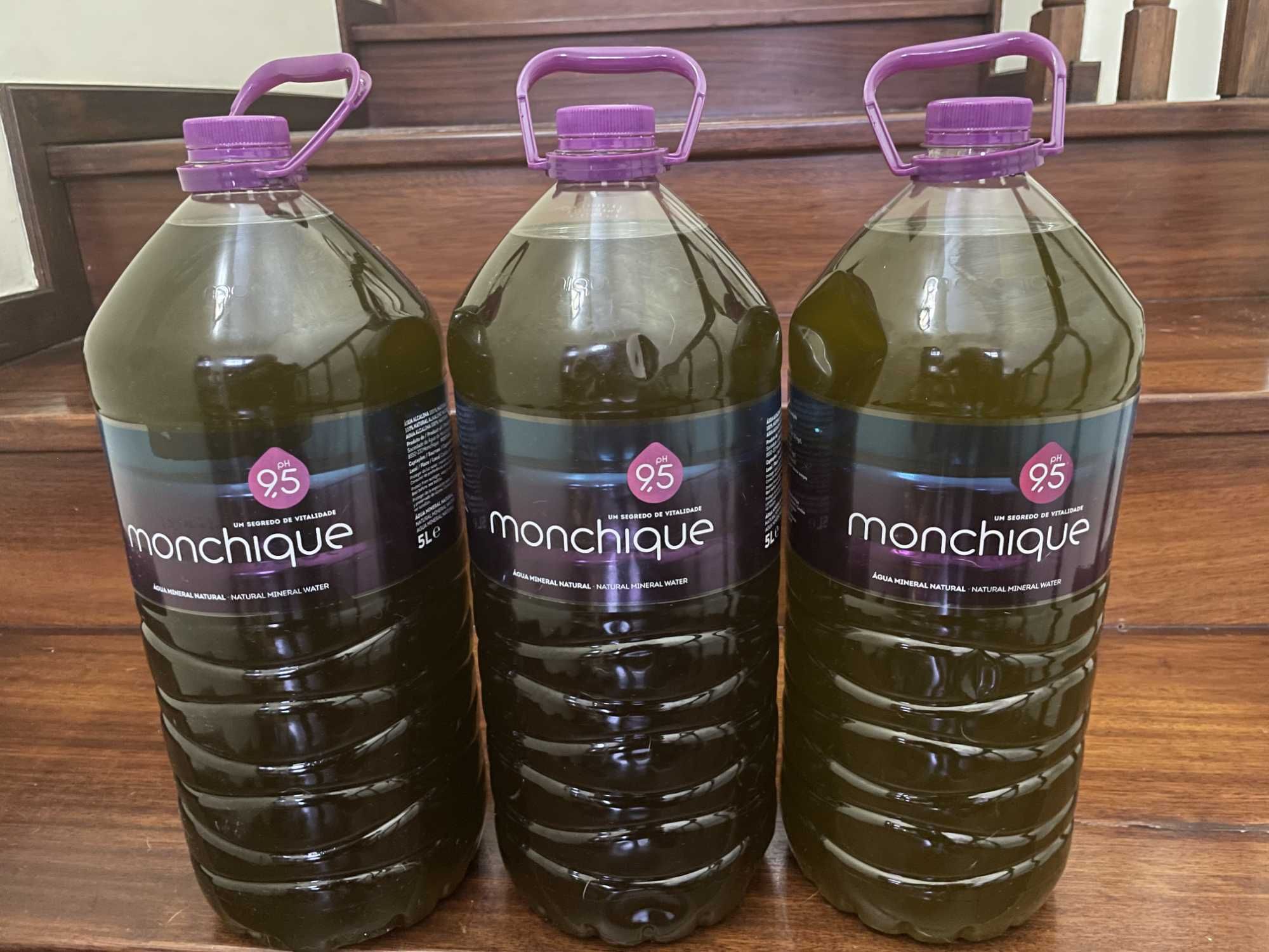 Azeite Virgem Extra (Acidez 0,27 ) Douro //  Sem produtos químicos
