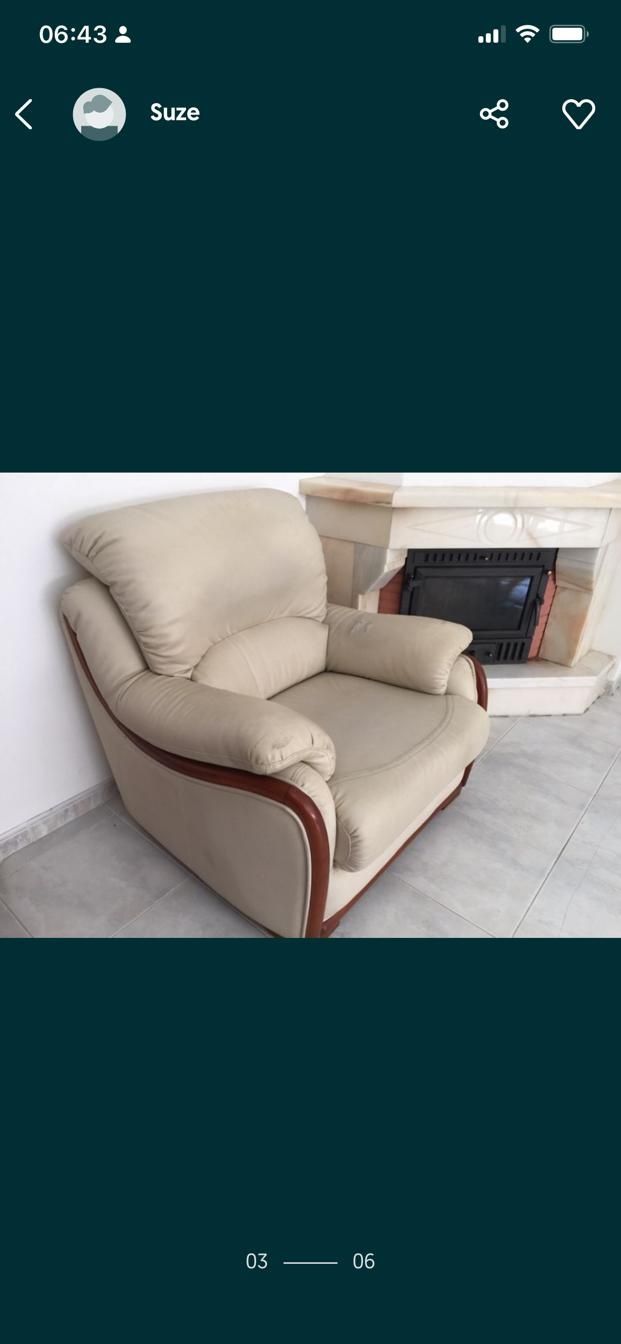 Sofa e poltrona em pele