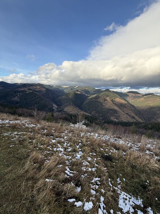 ТОП Дземброня 88сот