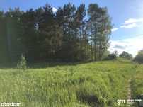Działka z lasem 7089m2 Grabowiec