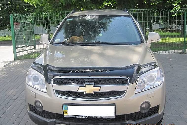 Брызговики Шевроле Каптива Chevrolet Captiva EU USA Каптіва бризговики