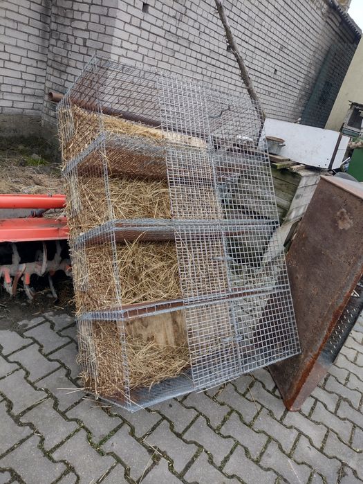 Klatki dla ptaków królików
