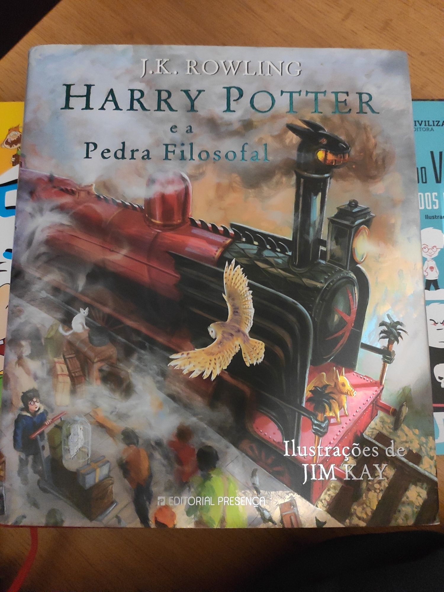 Harry Potter e a Pedra Filosofal edição ilustrada