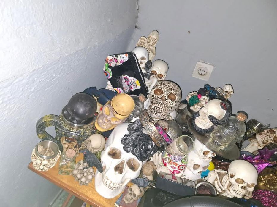 Coleção de caveiras