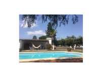 Quinta no coração do Alentejo em Beja, com uma habitação T4 e Piscina