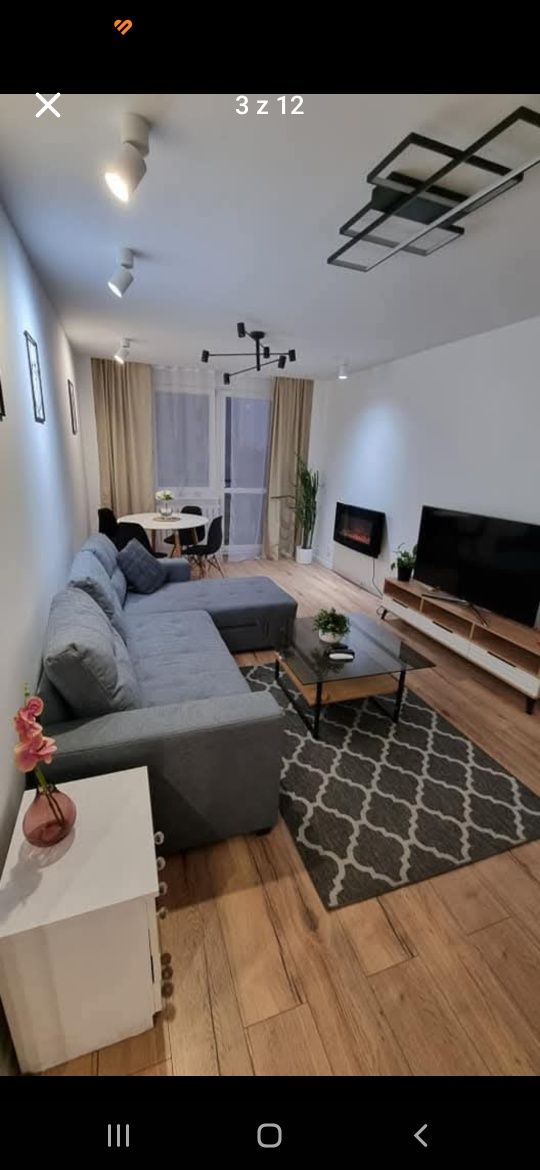 Mieszkanie do wynajęcia 57m. 3pokoje od 1.09