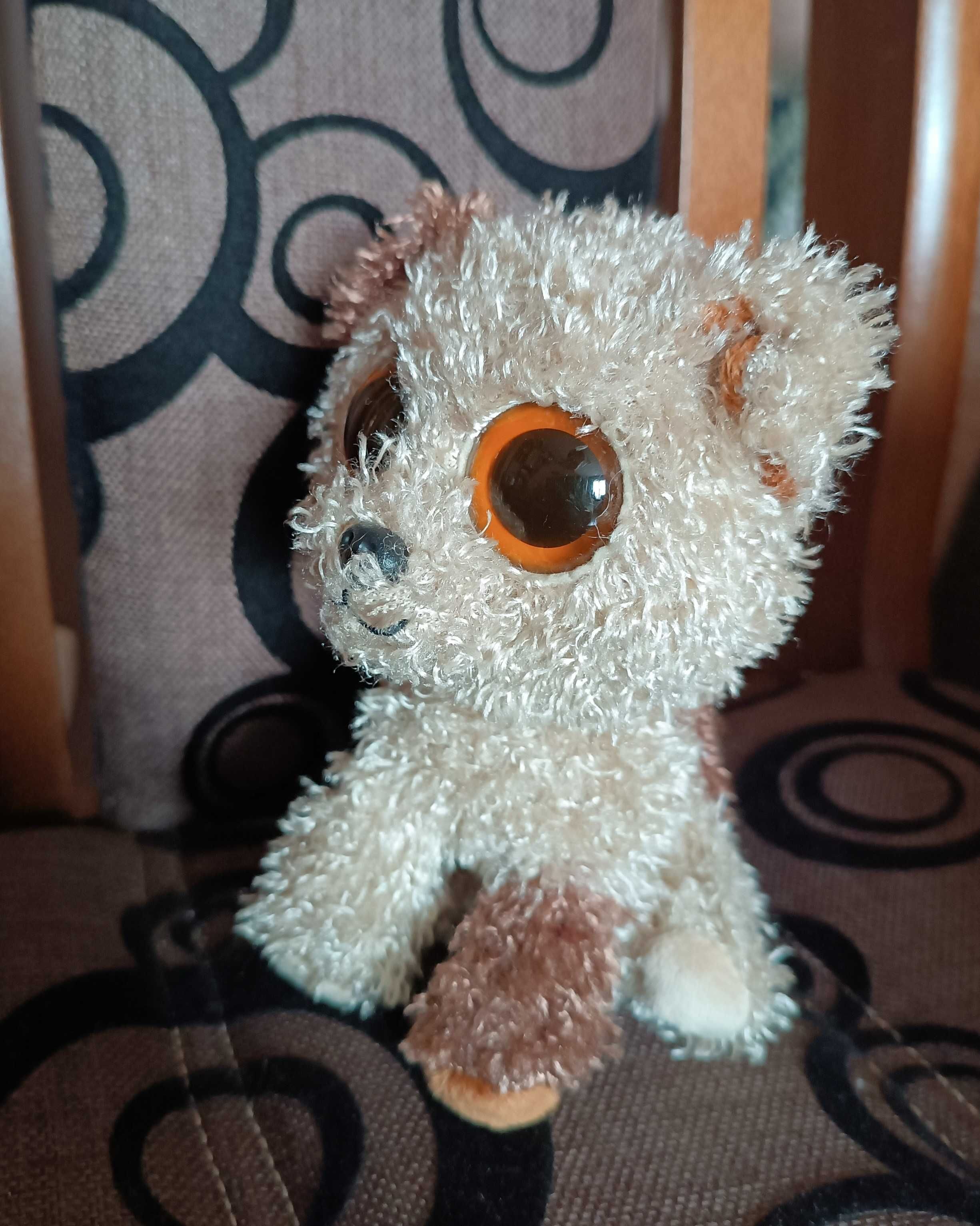 Maskotka pies piesek duże oczy Ty Beanie Boos ROOTBEER Dog