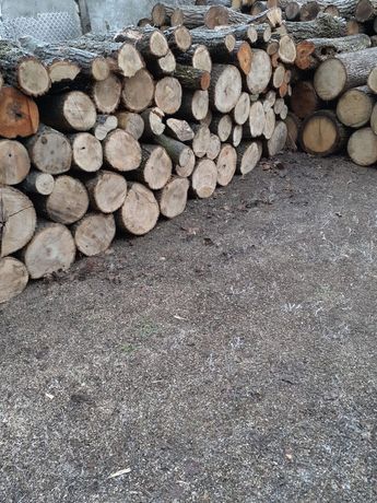 Продаемо дрова твердих порід