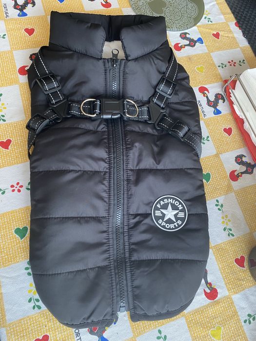 Casaco kispo de cão novo