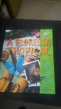 Floresta tropical