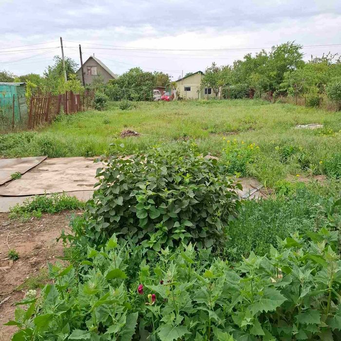 Продам Дом в Светлом