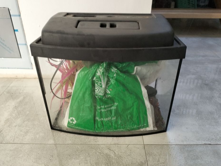 Akwarium z roślinami i kamykami