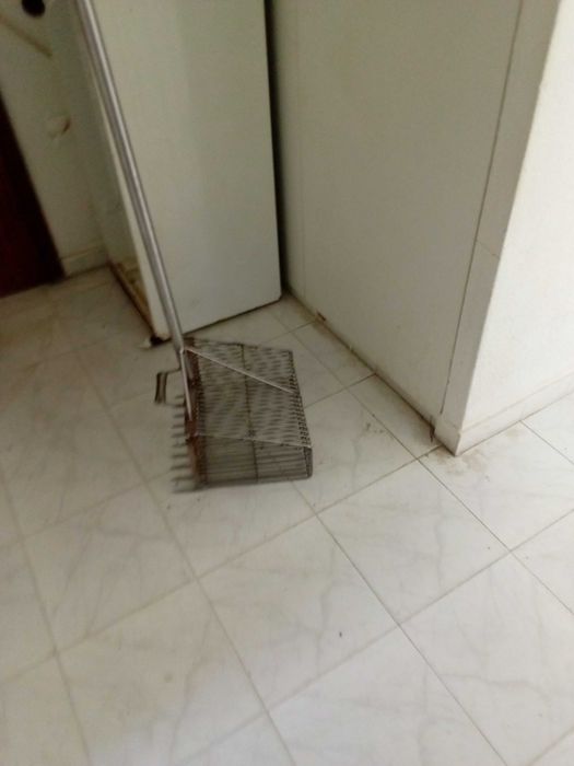 Gachourra arrasto manual pesca bivalves amêijo é Inox vender rápido