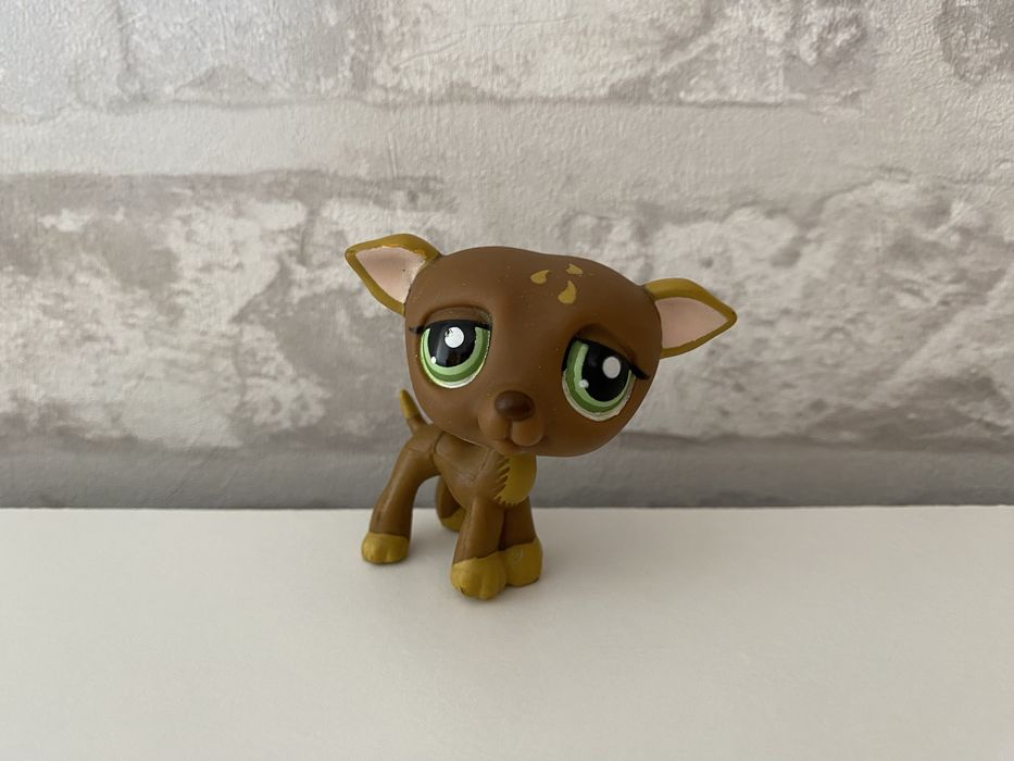 Littlest Pet Shop #1216 | Raro & Autêntico