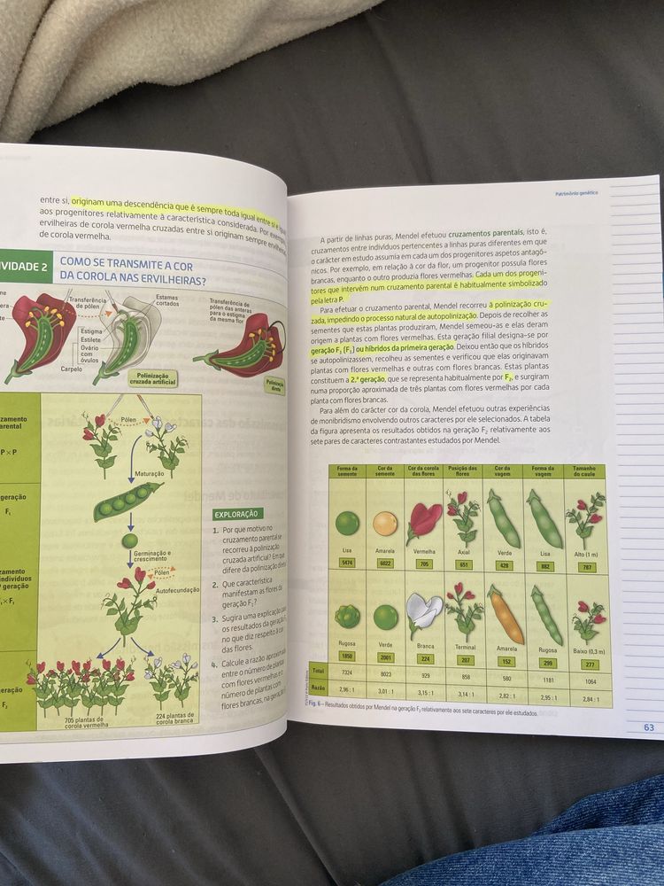 Terra, Universo de Vida - Biologia 12° ano