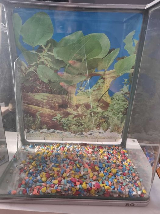 Aquário retangular de vidro com bomba