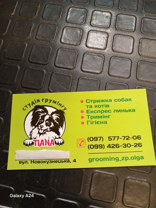 Грумер 1южный .студия груминга Тиана стрижка животных  .