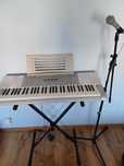 Keyboard Casio LK-280  super stan! zestaw z mikrofonem i statywem!