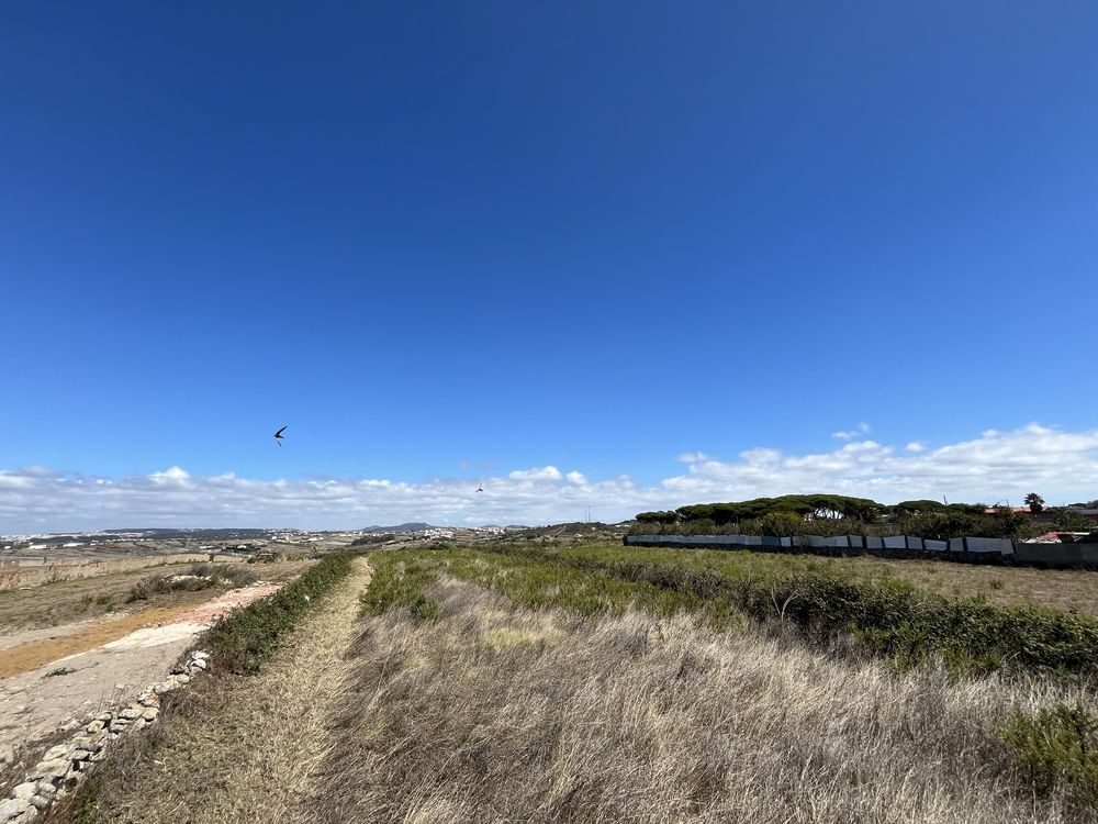 Limpeza de terrenos / corte de arvores etc…