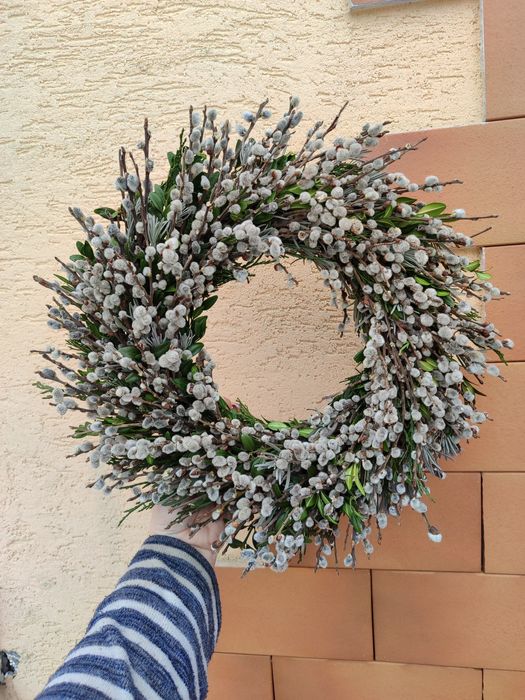 Віночки з вербових котиків Верба баська шутка лоза