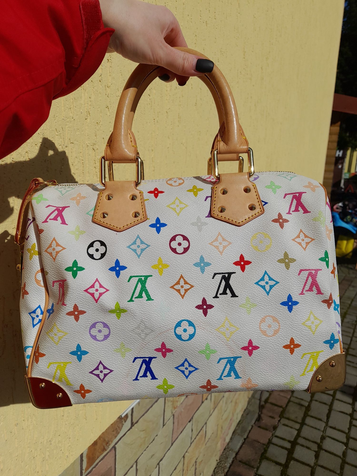 Сумочка Louis Vuitton Speedy Handbag Monogram Multicolor 30