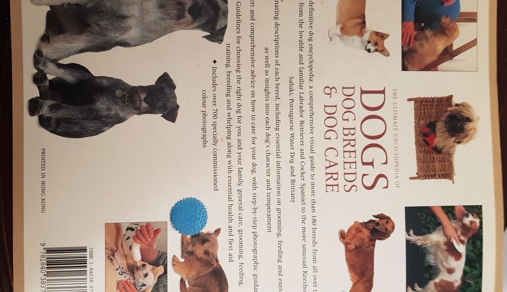 Cães  Dogs : dogs breeds  & dog cares