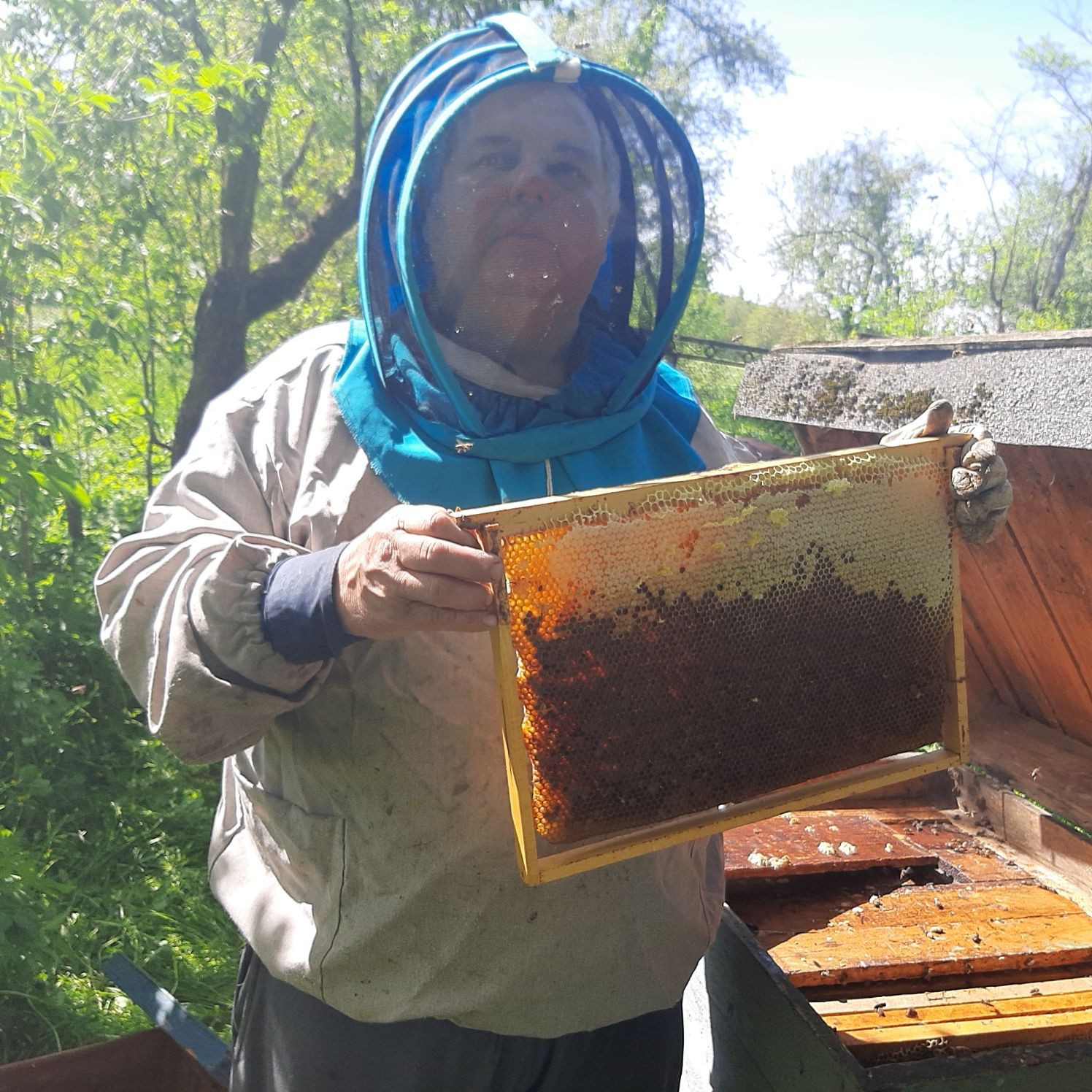 Бджолопакєти,сімї.мед.