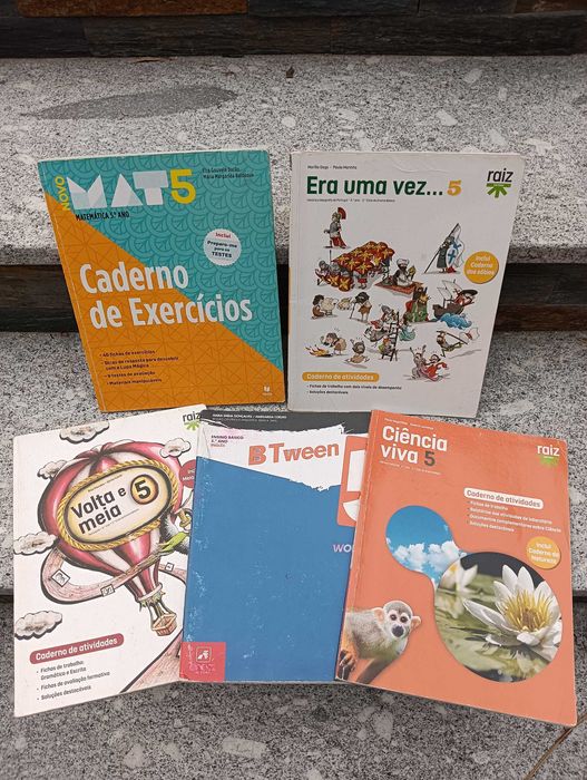 Cadernos de atividades e alguns manuais 8°/7°/6°/5°